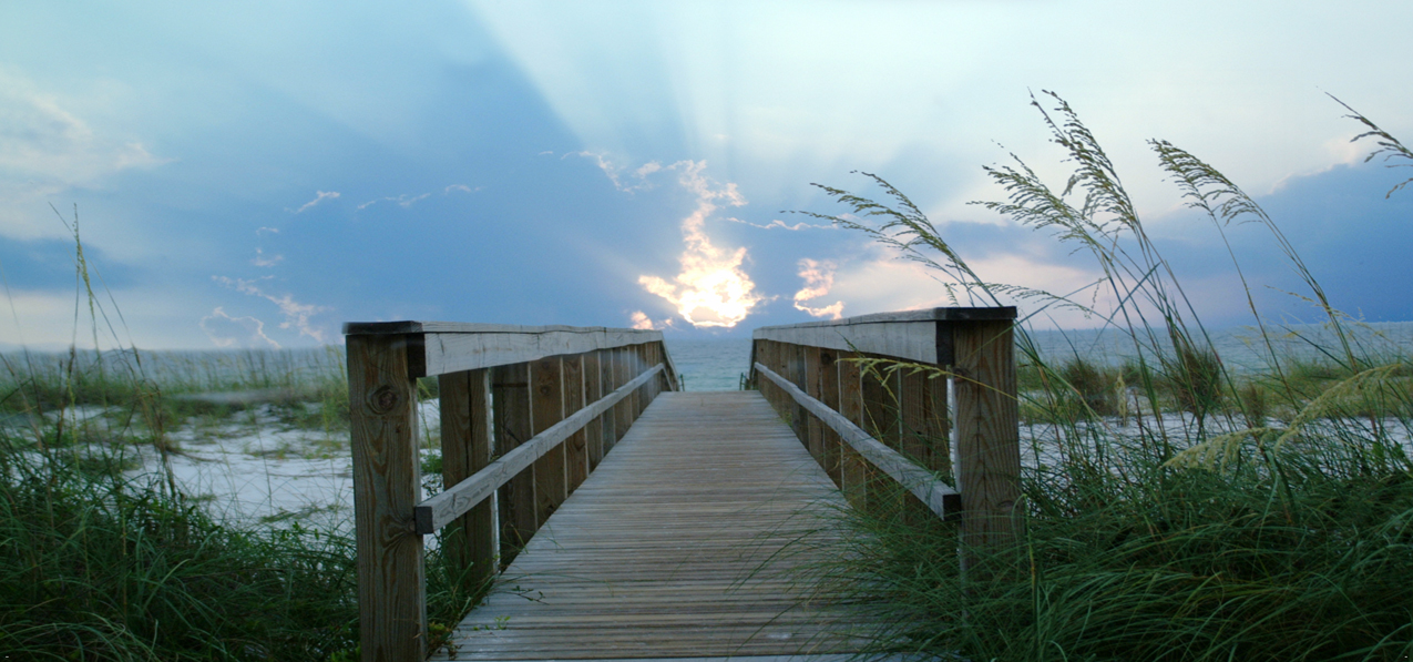 P 125 Crossing Over Boardwalk (No Text)